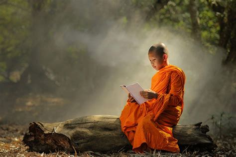 buddha videos .
